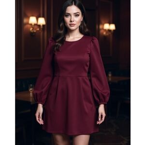 Zara Deep Red Long Sleeve Dress